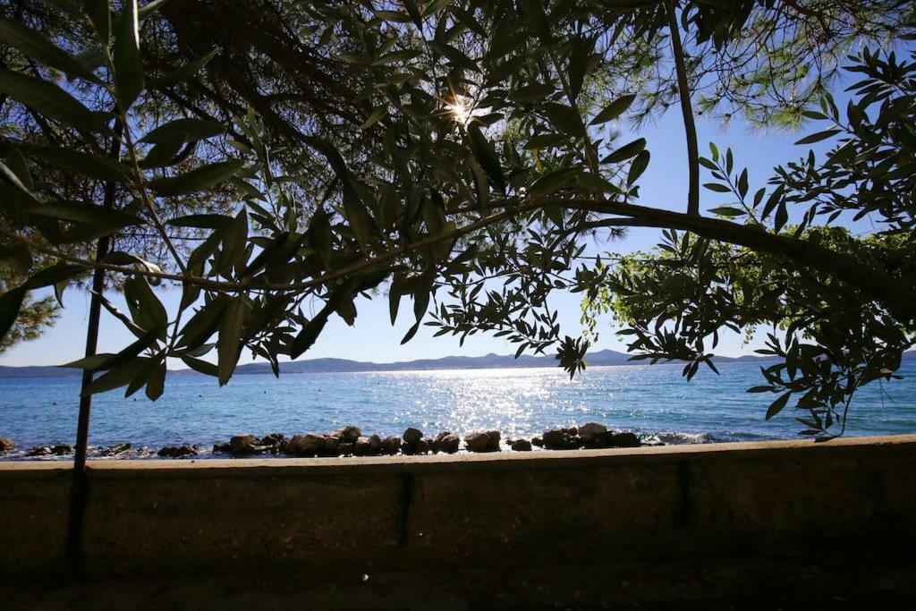 Seafront Beach Apartment - Directly At The Beach Zadar Dış mekan fotoğraf