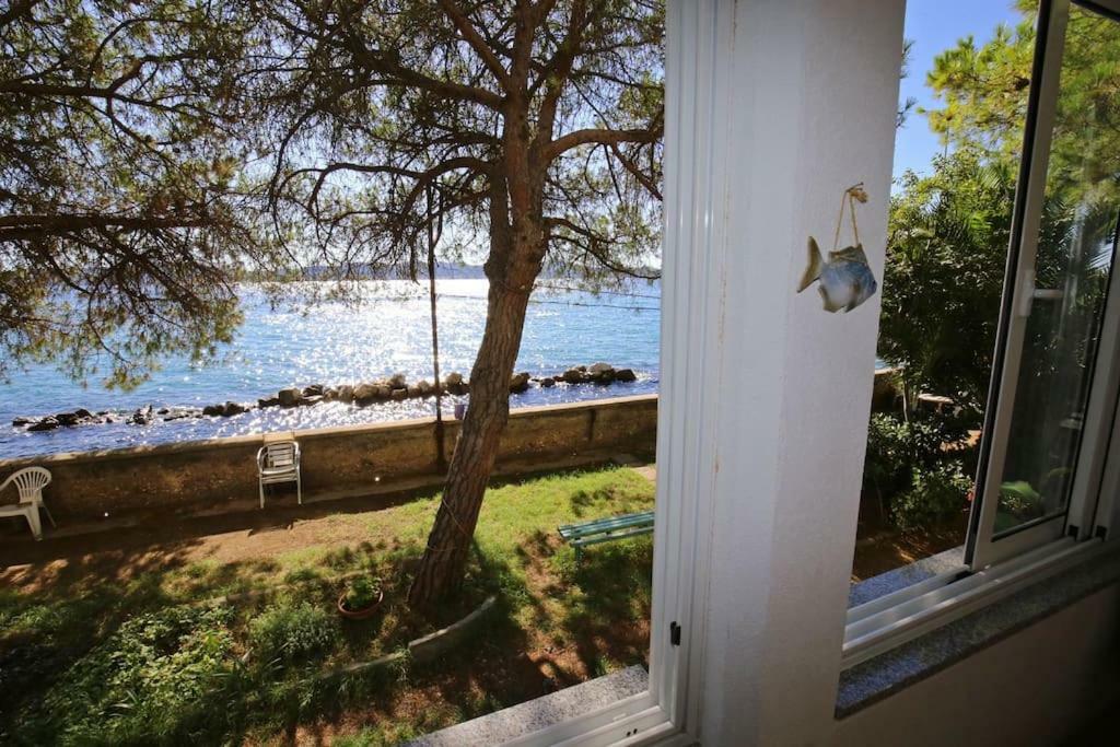 Seafront Beach Apartment - Directly At The Beach Zadar Dış mekan fotoğraf